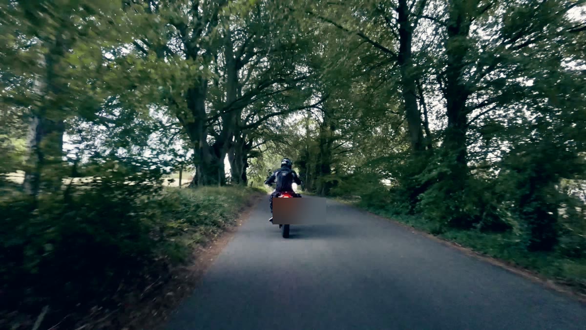 Blacktop Cinema LUT applied to a wooded road riding shot
